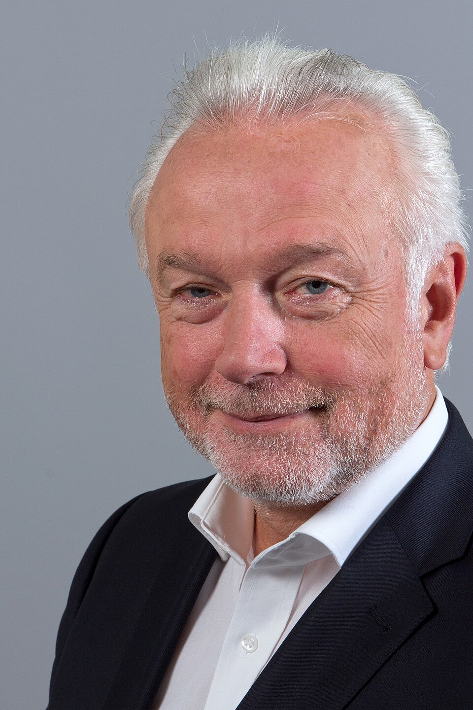Porträt von Wolfgang Kubicki